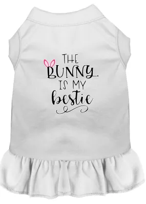 Bunny Is My Bestie Screen Print Dog Dress White Xxxl (20)